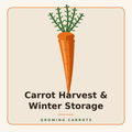 Harvest & Winter Storage
