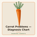 Carrot Problems: 2-Page Diagnosis Chart