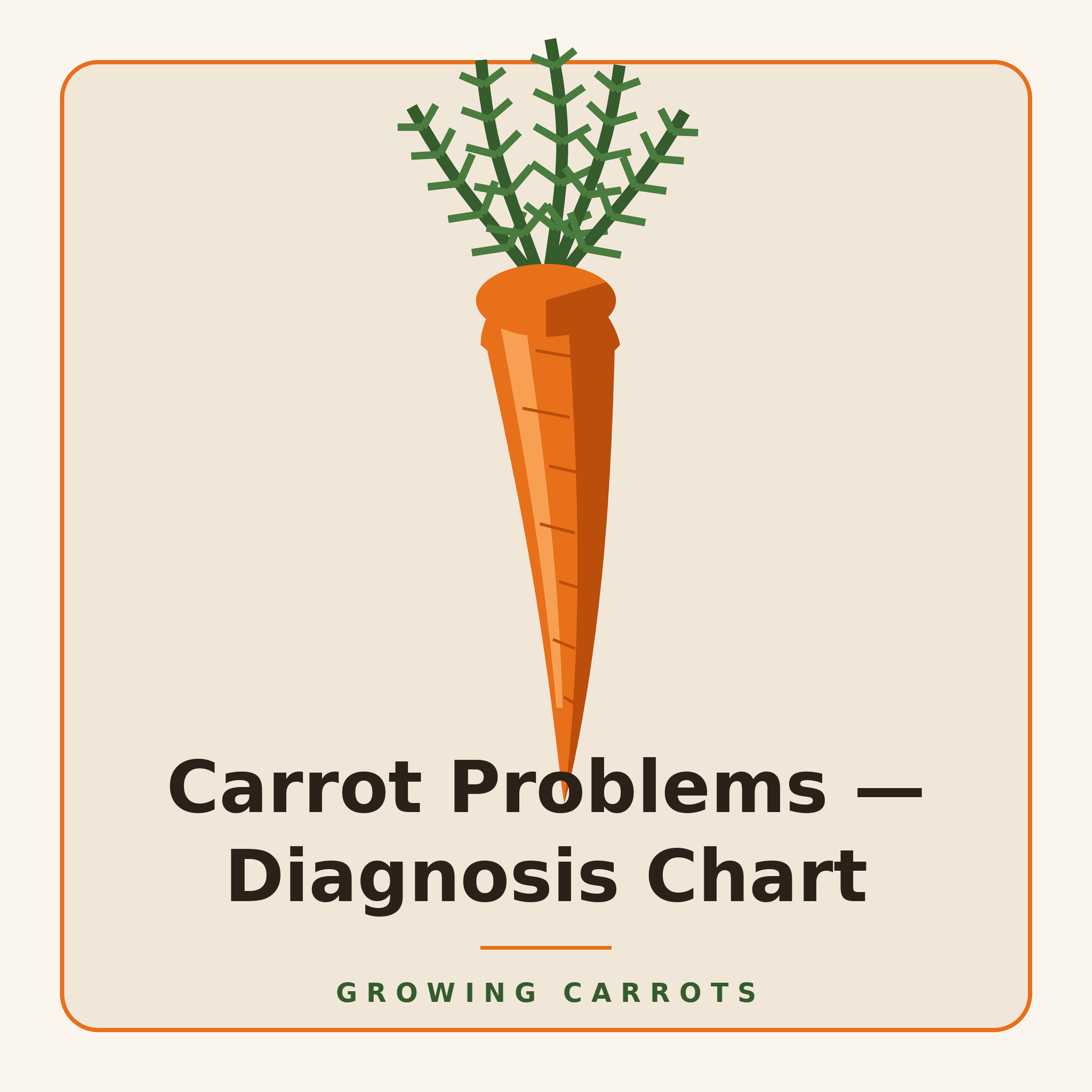 Carrot Problems: 2-Page Diagnosis Chart