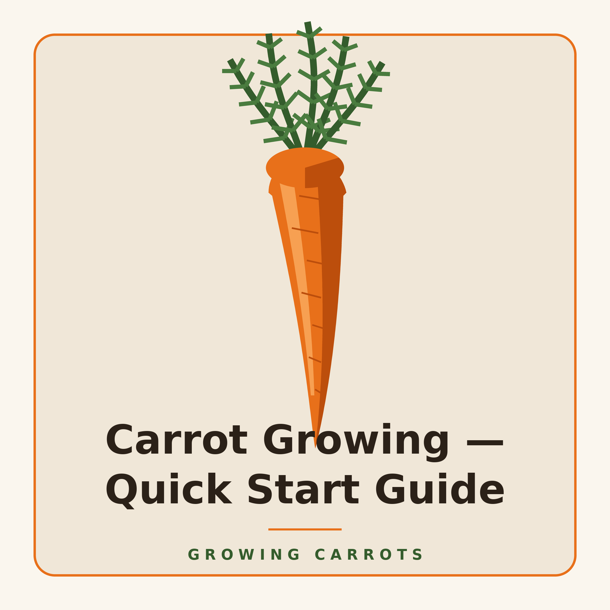Carrot Growing Quick Start Guide