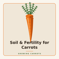Soil & Fertility for Carrots