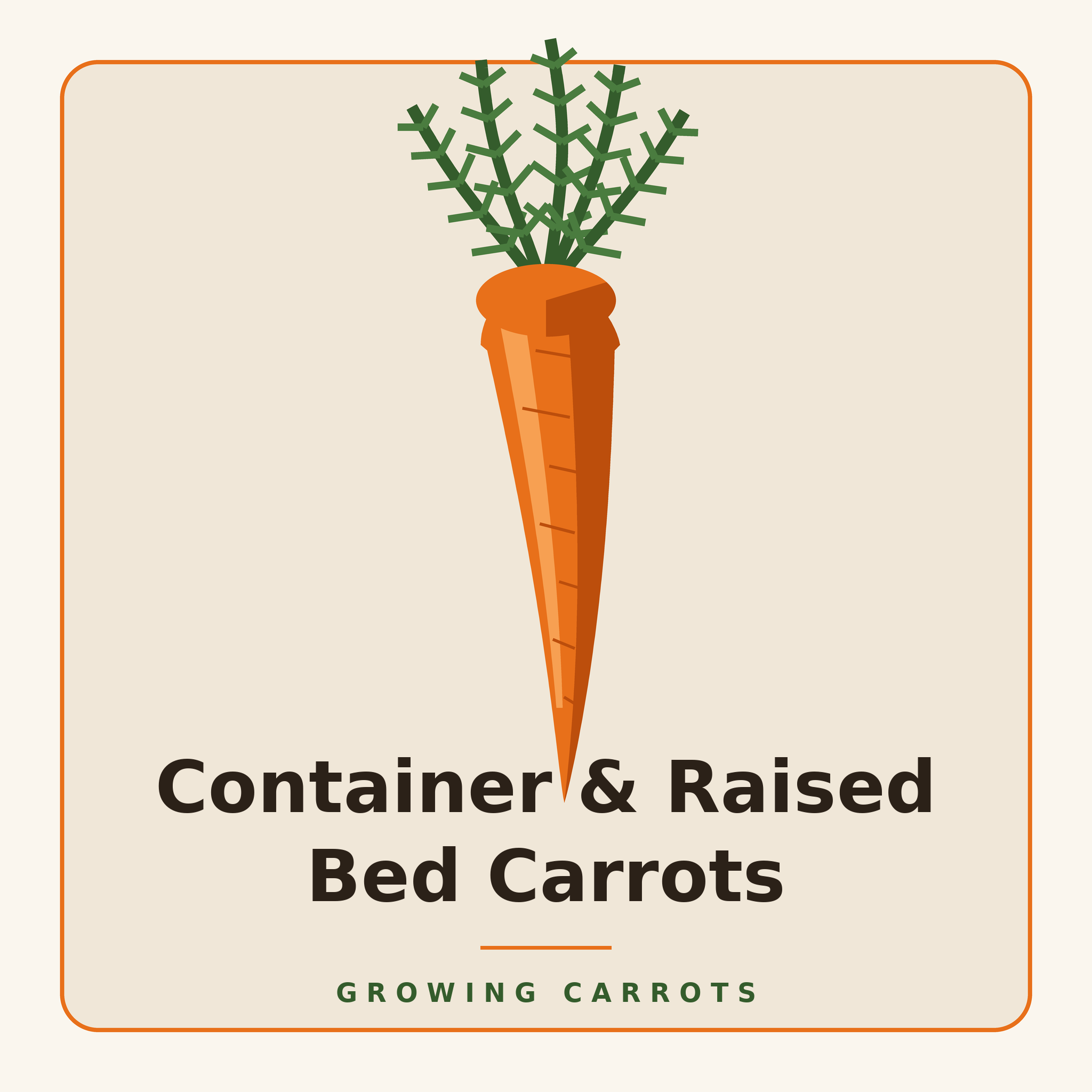Container & Raised Bed Carrots